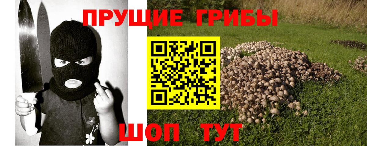 Галлюциногенные грибы мицелий Энгельс