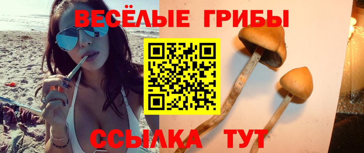 Псилоцибиновые грибы GOLDEN TEACHER  Вход с VPN  Псилоцибиновые грибы GOLDEN TEACHER  Энгельс 